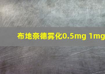 布地奈德雾化0.5mg 1mg